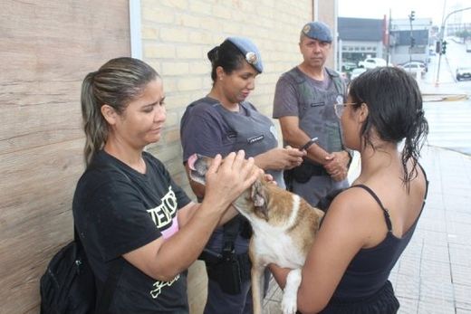 Policiais permaneceram no local prestando apoio às tutoras