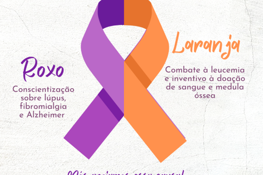 Câmara Municipal adere ao Fevereiro Roxo e Laranja