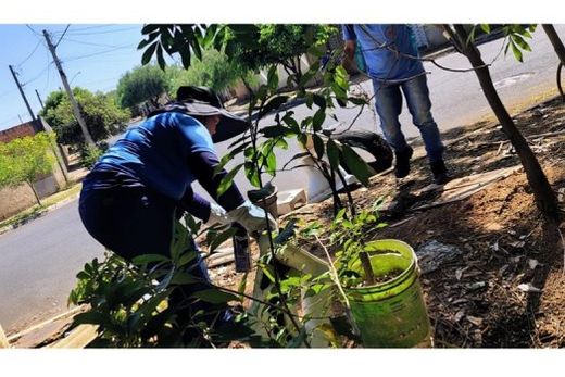 Mutirão. Durante a ação, as equipes percorrem o bairro realizando a coleta de materiais inservíveis que possam acumular água