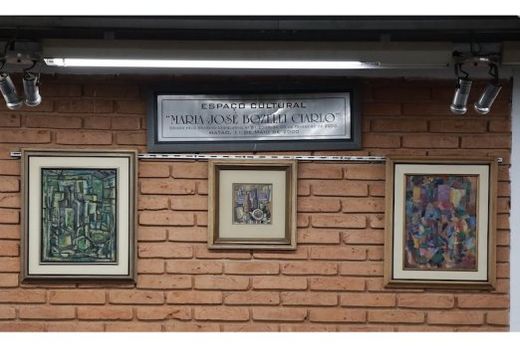 Obras de Célia Regina Gandini. A exposição na Câmara apresenta parte de sua produção, evidenciando técnica, sensibilidade e identidade artística