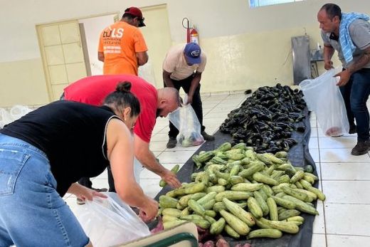 Programa. Em São Paulo, o PAA é realizado pelo Ministério do Desenvolvimento e Assistência Social, Família e Combate à Fome em parceria com o Governo do Estado