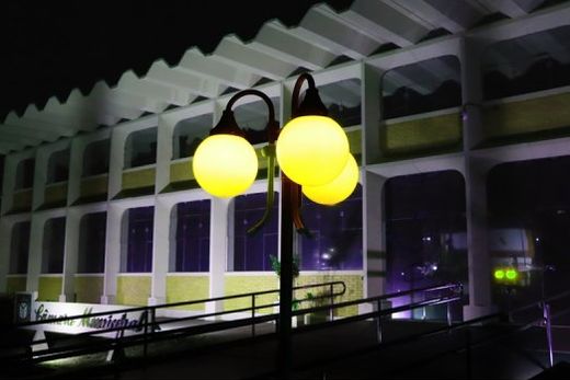 Neste mês,  prédio da Câmara recebe iluminação especial nas cores amarela e lilás