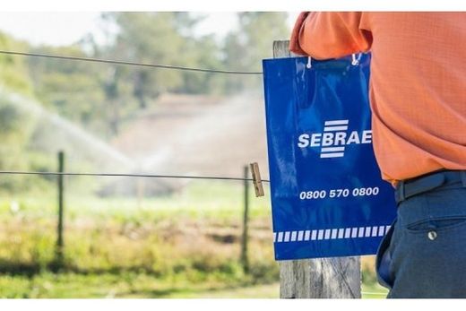 Programa terá início no próximo dia 1º de agosto e seguirá até julho de 2027