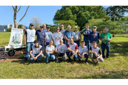 Número 227. Após 18 anos, o Grupo Matão+Verde realizou o segundo plantio em São Lourenço do Turvo