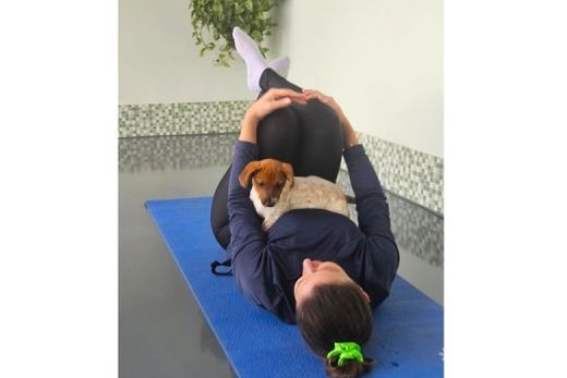 Ação tem como objetivo aproximar os animais da comunidade e aumentar as possibilidades de encontrarem um novo lar