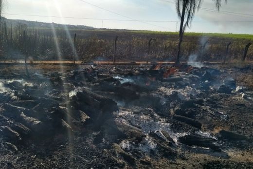 Incêndio queima canavial e atinge empresa