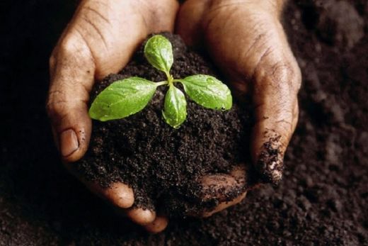 Palestras sobre agricultura