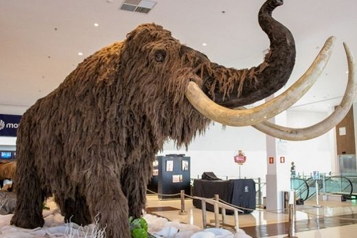 Os Gigantes da Era do Gelo chega à última semana