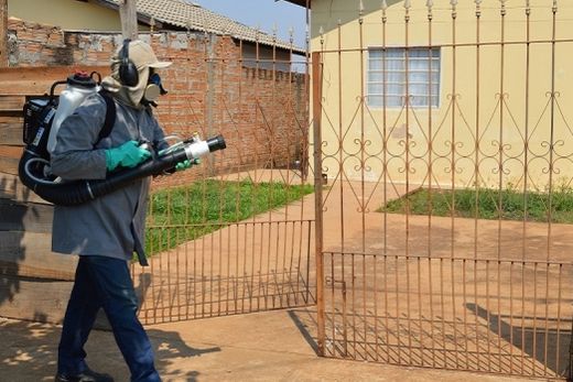 Dengue: número de casos suspeitos cresce a cada dia