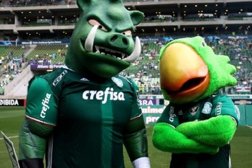 Antes de jogo em Araraquara, torcedor terá ação com Júnior e mascotes do Palmeiras