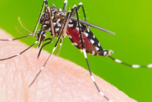 Araraquara chega a 1.273 pessoas com dengue em 40 dias