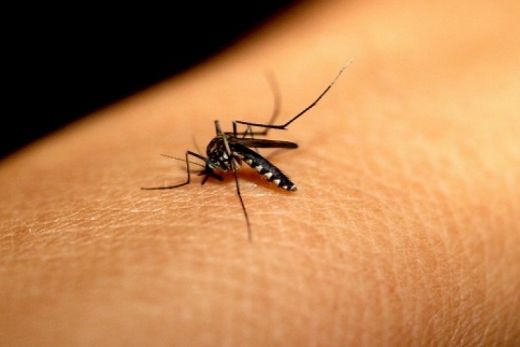 Araraquara confirma primeira morte por dengue