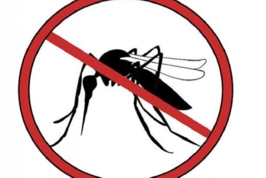 Mutirão da dengue passa por bairros