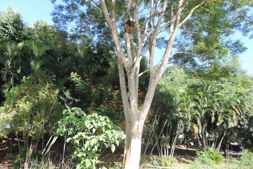 Projeto Fauna Viva implanta casas ninhos