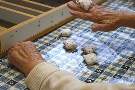 Idosos de asilo de Araraquara produzem brinquedos e levam às escolas