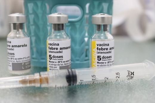 Intensificada vacinação contra a febre amarela