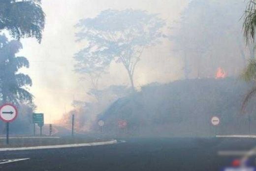 Polícia deve investigar incêndio em canavial