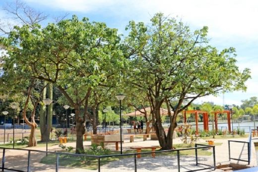 Revitalizada a 'Ilha' do Parque Ecológico