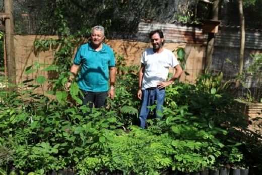 Viveiro Municipal recebe melhorias na estrutura