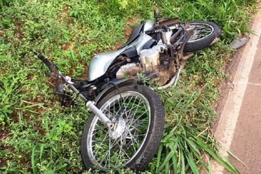 Animal solto na Rodovia do Trabalhador causa acidente