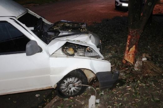 Motorista bate contra árvore no Jardim Bela Vista