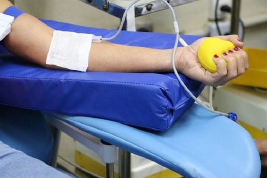 Hemocentro cadastra doadores de medula óssea