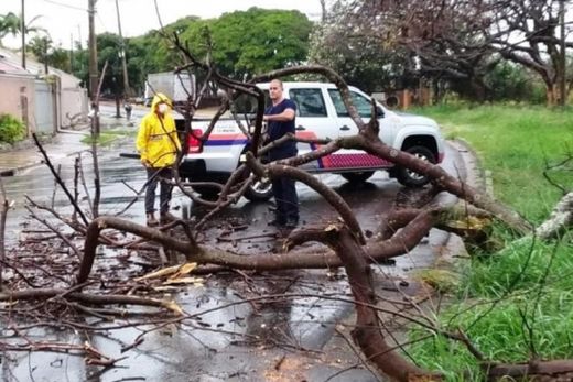 Chuva provoca queda de árvore no Park do Imperador