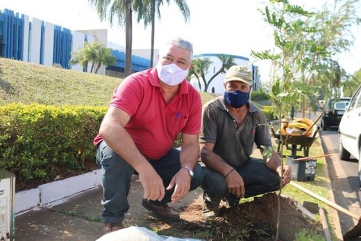 Prefeitura realiza manutenção do Piloto de Floresta Urbana