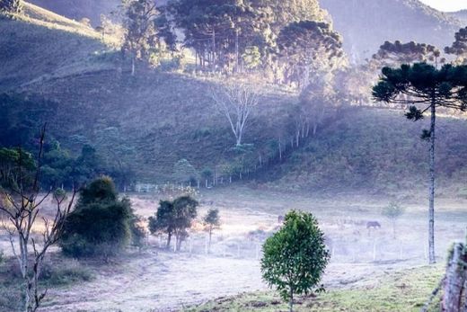 São Paulo vai registrar recorde de frio nos próximos dias