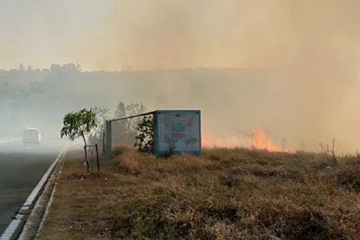 Bombeiros e Defesa Civil combatem incêndio na mata da Trolesi