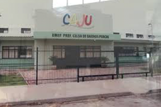 Ladrões furtaram Escola do Caju e diretora pede ajuda à população