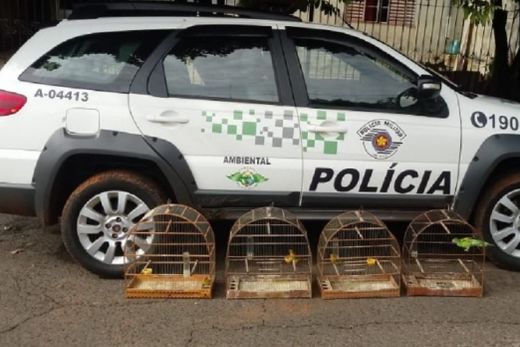 Polícia Militar Ambiental apreende 53 aves em Matão