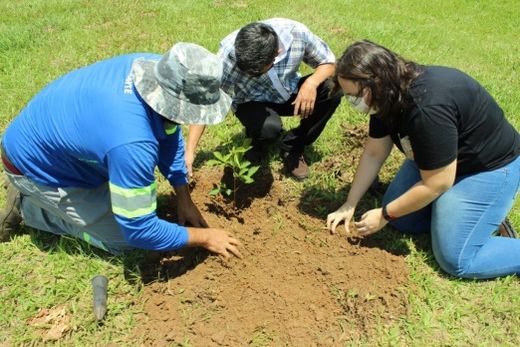 Equipe de Responsabilidade Social participa de capacitação ambiental