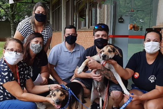Programa 'Meu Cão no Sesi' cria conexões