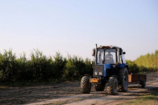 Congresso Brasileiro do Agronegócio abre inscrições