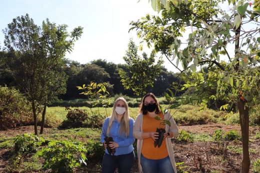Carla e Cynthia participaram do plantio das mudas