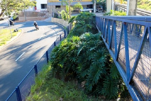 Marmitaria Bulevar adere ao Adote uma área pública