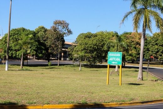 Área pública já recebe os cuidados da empresa Cadioli