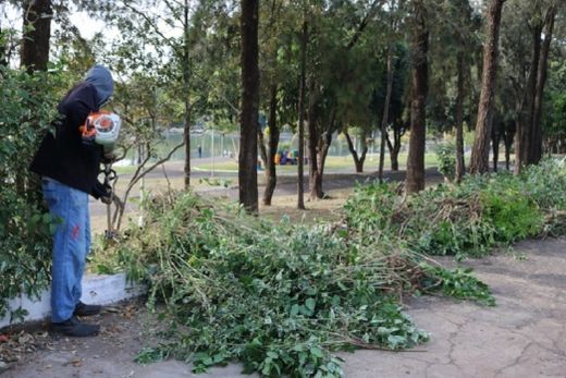 Prefeitura retira cerca viva de hibiscos no Parque Ecológico