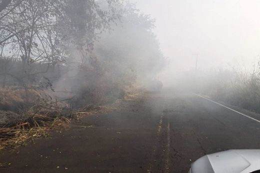 Incêndio em canavial prejudica visibilidade de rodovia