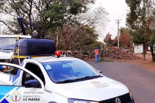 Defesa Civil registra queda de árvores e incêndio