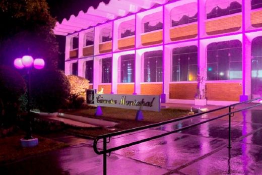 Fachada. Desde o último dia 16, a Câmara está iluminada com a cor lilás
