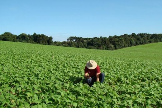 Agro paulista cresce 11,9% nos sete primeiros meses de 2021