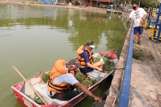 Cuidado. Equipe trabalhou para retirar as ervas daninhas e preservar as plantas nativas do lago
