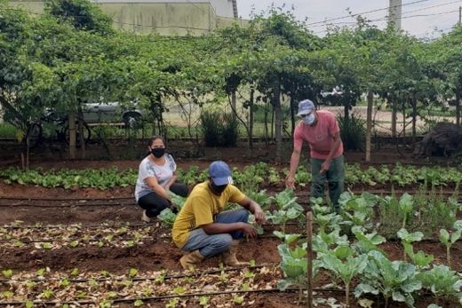 Colaboradores. Shirlei, Isaías e Ademir trabalham para expandir o projeto, dobrando a área cultivada para fornecer mais alimentos à comunidade em um sistema de educação ambiental
