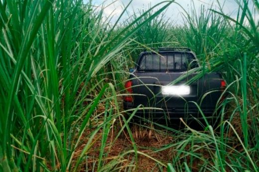Carros furtados são localizados pela Polícia
