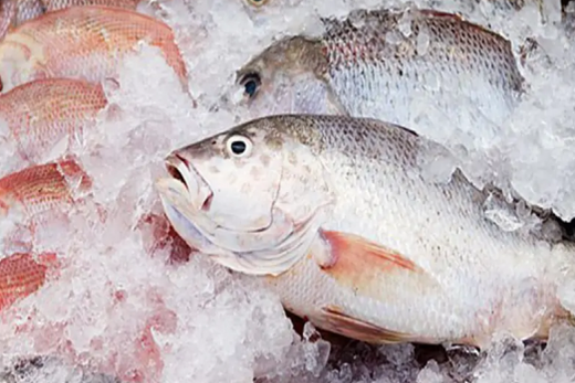 Furto. Foram levados 60 quilos de peixes congelados do estabelecimento