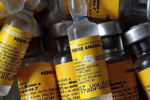 Sociedade Brasileira de Pediatria divulga cuidados que devem ser tomados na vacinação contra a febre amarela