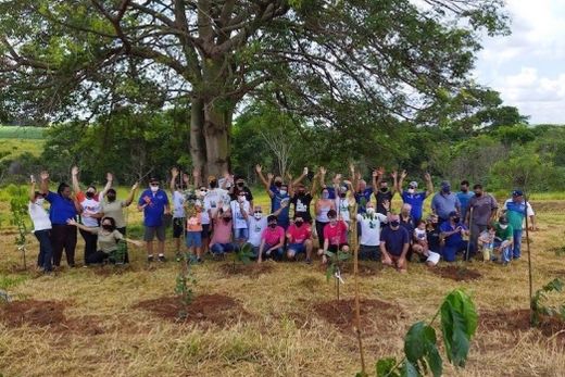 No 'Pulmão Verde'. Grupo Matão+Verde agradece a todos os parceiros, voluntários e familiares das crianças homenageadas