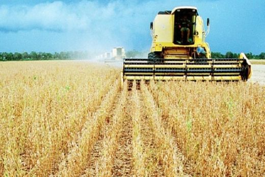 Governo libera R$ 12,5 bilhões para financiar safra agrícola de 2018 e 2019